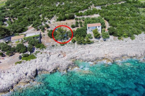 Apartments by the sea Dingac - Potocine, Peljesac - 10433